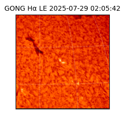 gong - 2025-07-29T02:05:42