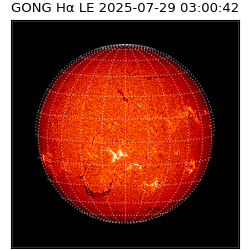 gong - 2025-07-29T03:00:42