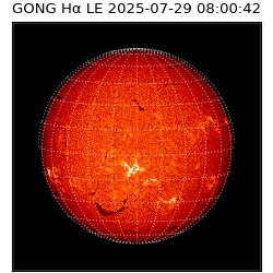 gong - 2025-07-29T08:00:42