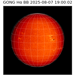 gong - 2025-08-07T19:00:02