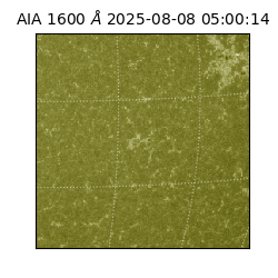 saia - 2025-08-08T05:00:14.125000