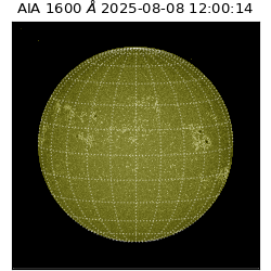 saia - 2025-08-08T12:00:14.126000