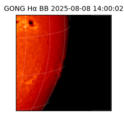 gong - 2025-08-08T14:00:02