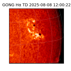 gong - 2025-08-08T12:00:22