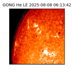 gong - 2025-08-08T06:13:42