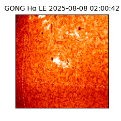gong - 2025-08-08T02:00:42