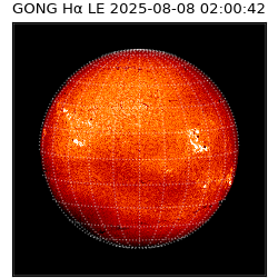 gong - 2025-08-08T02:00:42