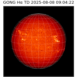 gong - 2025-08-08T09:04:22
