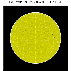 shmi - 2025-08-08T11:58:45