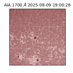 saia - 2025-08-09T19:00:28.718000