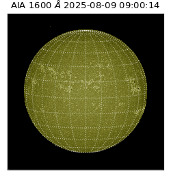 saia - 2025-08-09T09:00:14.133000