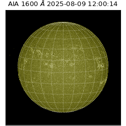 saia - 2025-08-09T12:00:14.130000