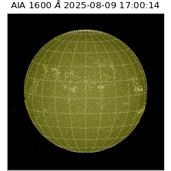 saia - 2025-08-09T17:00:14.125000