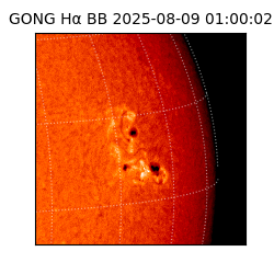 gong - 2025-08-09T01:00:02