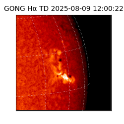 gong - 2025-08-09T12:00:22
