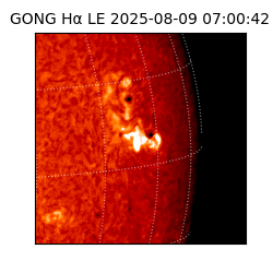 gong - 2025-08-09T07:00:42