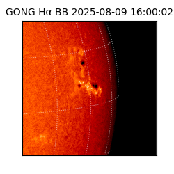 gong - 2025-08-09T16:00:02