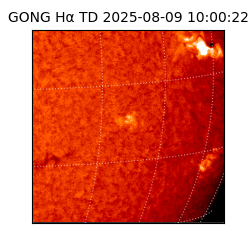 gong - 2025-08-09T10:00:22