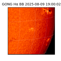gong - 2025-08-09T19:00:02