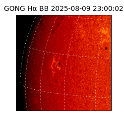 gong - 2025-08-09T23:00:02