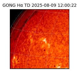 gong - 2025-08-09T12:00:22
