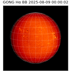 gong - 2025-08-09T00:00:02