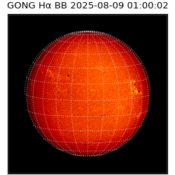 gong - 2025-08-09T01:00:02