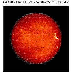 gong - 2025-08-09T03:00:42
