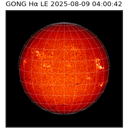 gong - 2025-08-09T04:00:42