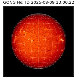 gong - 2025-08-09T13:00:22