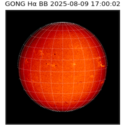 gong - 2025-08-09T17:00:02