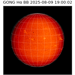 gong - 2025-08-09T19:00:02
