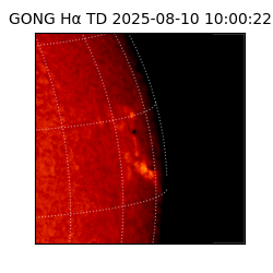 gong - 2025-08-10T10:00:22