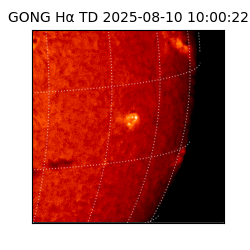 gong - 2025-08-10T10:00:22