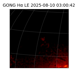 gong - 2025-08-10T03:00:42