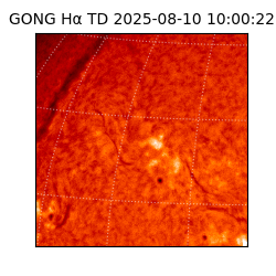 gong - 2025-08-10T10:00:22