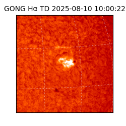 gong - 2025-08-10T10:00:22