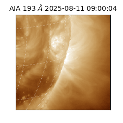 saia - 2025-08-11T09:00:04.843000