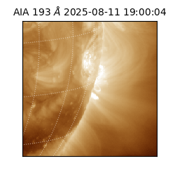 saia - 2025-08-11T19:00:04.843000