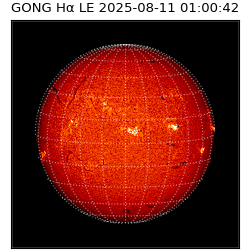 gong - 2025-08-11T01:00:42