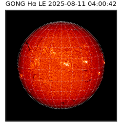 gong - 2025-08-11T04:00:42