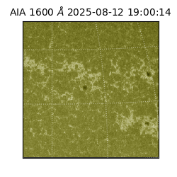 saia - 2025-08-12T19:00:14.126000