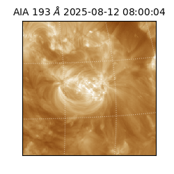 saia - 2025-08-12T08:00:04.843000