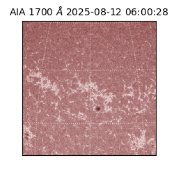 saia - 2025-08-12T06:00:28.744000