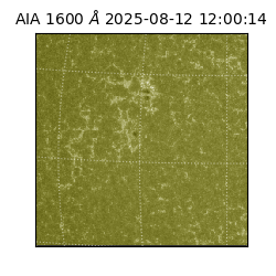 saia - 2025-08-12T12:00:14.126000
