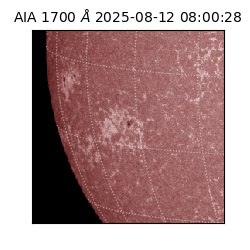 saia - 2025-08-12T08:00:28.721000