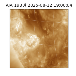 saia - 2025-08-12T19:00:04.843000