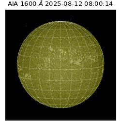 saia - 2025-08-12T08:00:14.125000