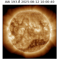 saia - 2025-08-12T10:00:40.843000
