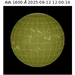 saia - 2025-08-12T12:00:14.126000